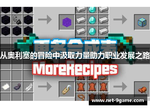 从奥利塞的冒险中汲取力量助力职业发展之路 从奥利塞的冒险中汲取力量助力职业发展之路