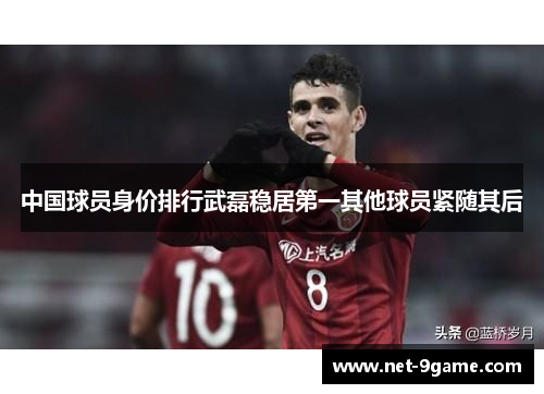 中国球员身价排行武磊稳居第一其他球员紧随其后 中国球员身价排行武磊稳居第一其他球员紧随其后