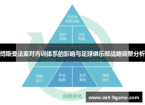 博斯曼法案对青训体系的影响与足球俱乐部战略调整分析 博斯曼法案对青训体系的影响与足球俱乐部战略调整分析