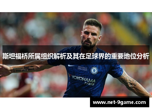 斯坦福桥所属组织解析及其在足球界的重要地位分析 斯坦福桥所属组织解析及其在足球界的重要地位分析