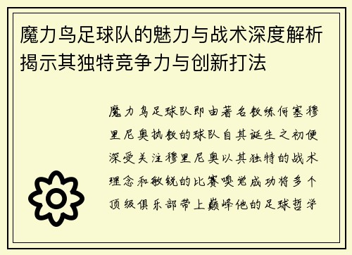 魔力鸟足球队的魅力与战术深度解析揭示其独特竞争力与创新打法
